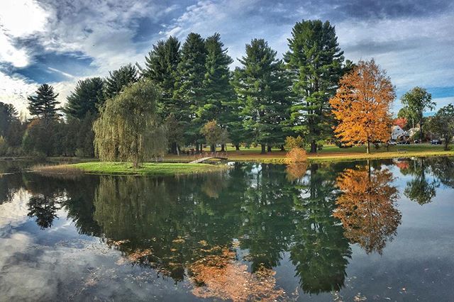 Crandall park.jpg